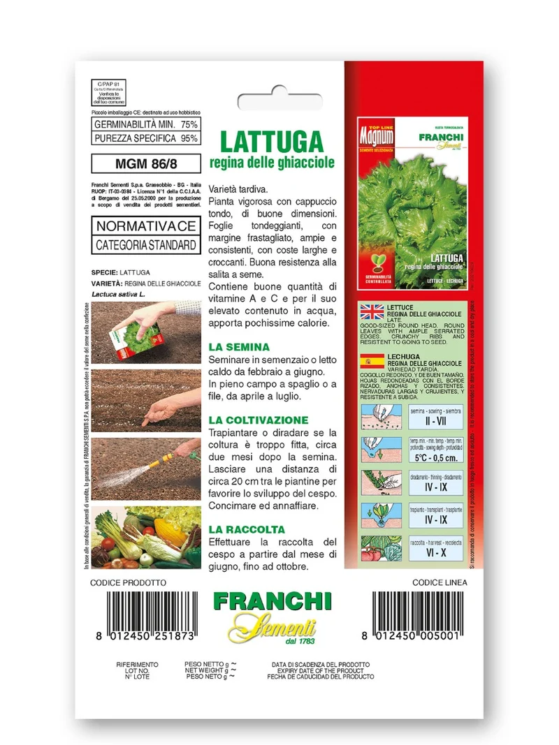 SEMI DI LATTUGA REGINA DELLE GHIACCIOLE