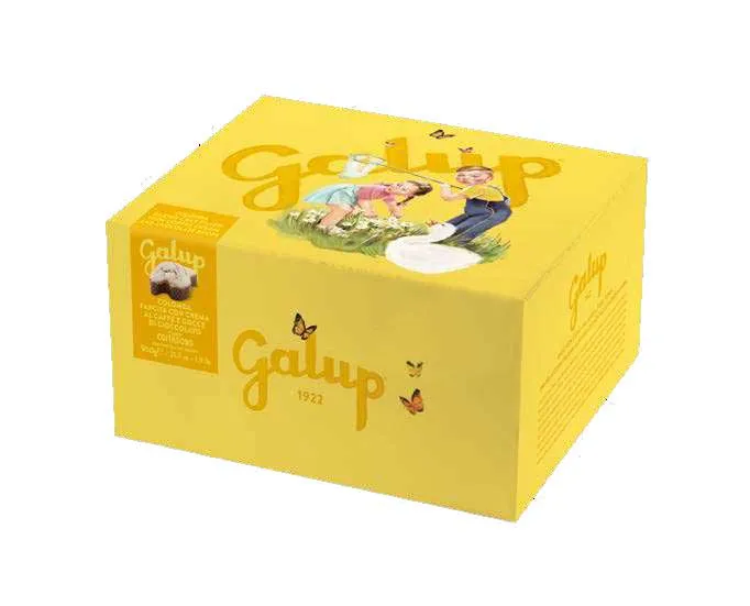 COLOMBA GOCCE DI CIOCCOLATO AL LATTE E BIANCO FARCITA CON CREMA AL CAFFÈ COSTADORO 900GR