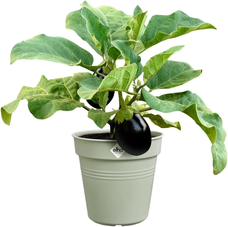 VASO GREEN BASICS GROWPOT 30CM VERDE PIETRA