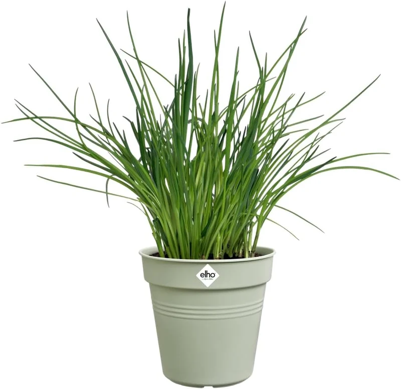 VASO GREEN BASICS GROWPOT 17CM VERDE PIETRA