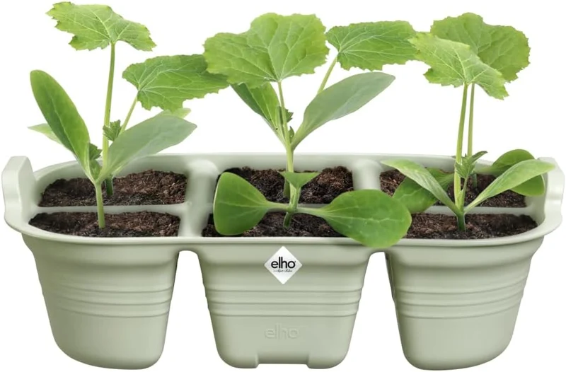 VASSOIO DA COLTIVAZIONE GREEN BASICS SEED TRAY 22CM VERDE PIETRA