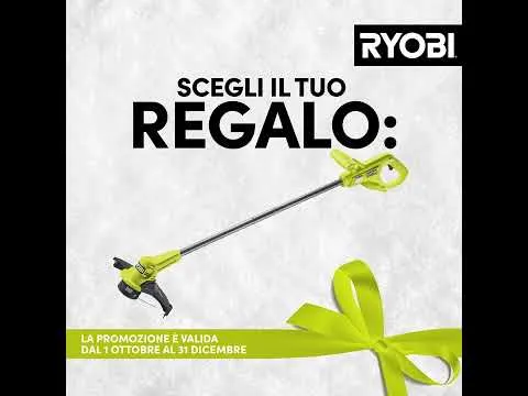 TRAPANO AVVITATORE A PERCUSSIONE 18V (1X 4.0AH) + SET ACCESSORI