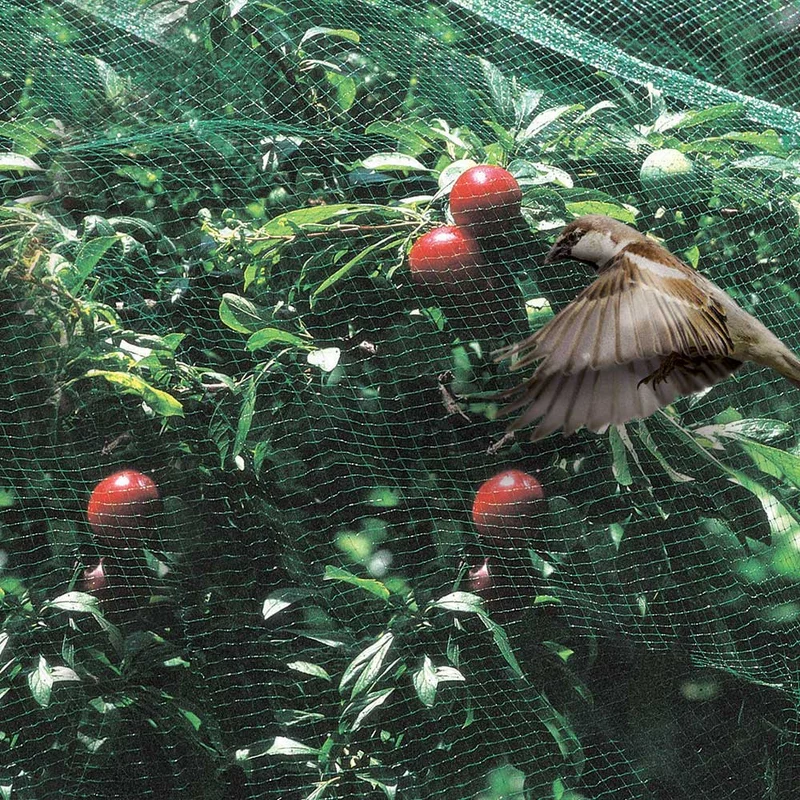 RETE ANTIUCCELLI ORTOFLEX VERDE 4X10M