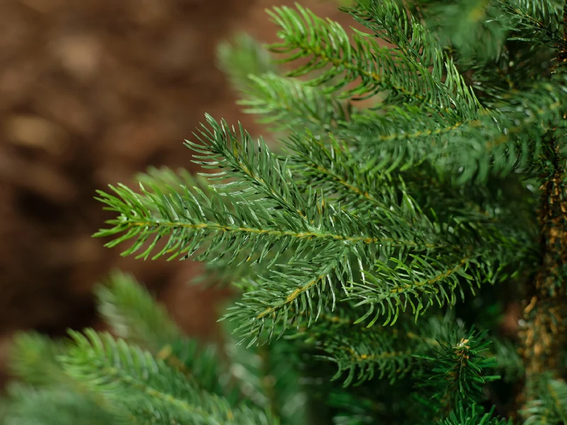ALBERO DI NATALE GRANDIS VERDE 240CM