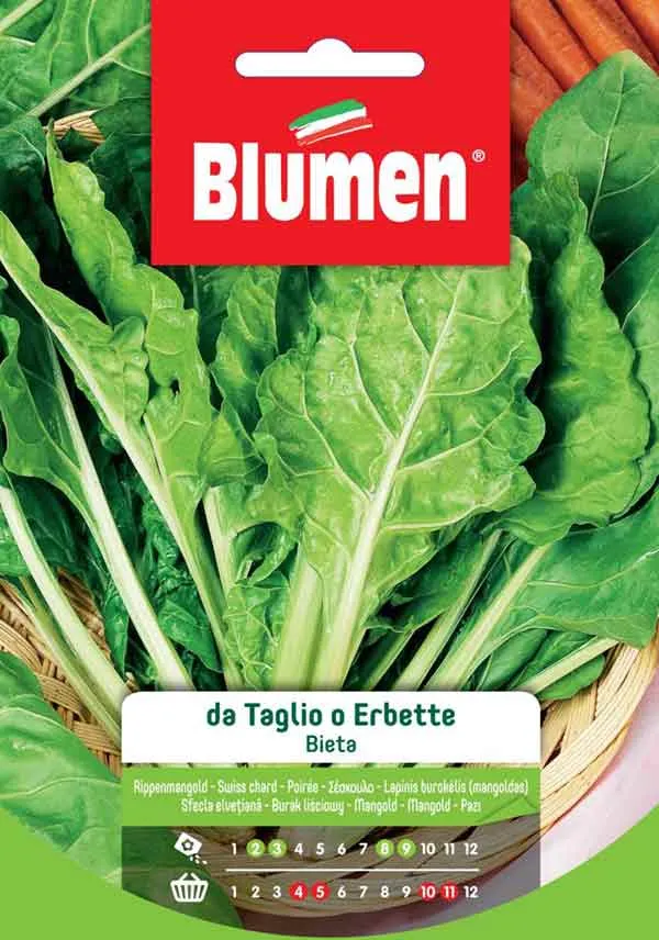 SEMI ERBETTE BIETA DA TAGLIO
