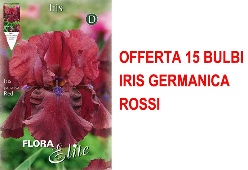 OFFERTA 15 BULBI IRIS GERMANICA ROSSO
