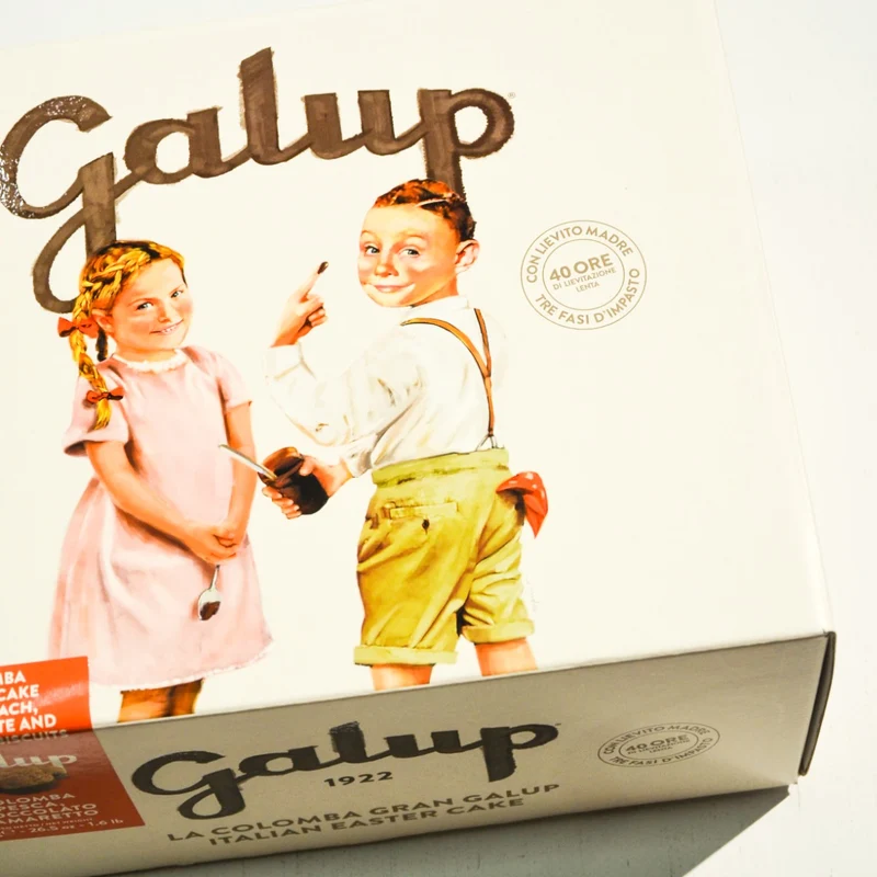 COLOMBA GRAN GALUP AMARETTO, CIOCCOLATO E PESCA 750GR