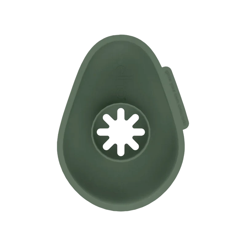 VASO PER SEME DI AVOCADO AMAZING AVOCADO FLOATER LEAF GREEN