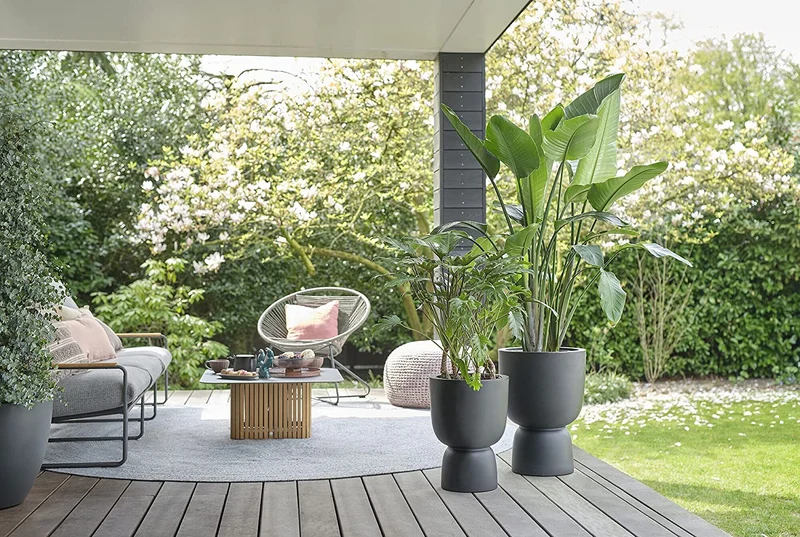 VASO PURE COUPE 35 BLACK