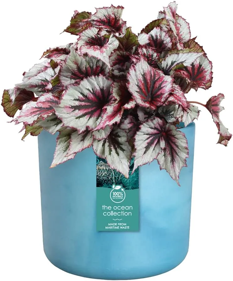 VASO THE OCEAN COLLECTION ROUND 18CM BLU ATLANTICO