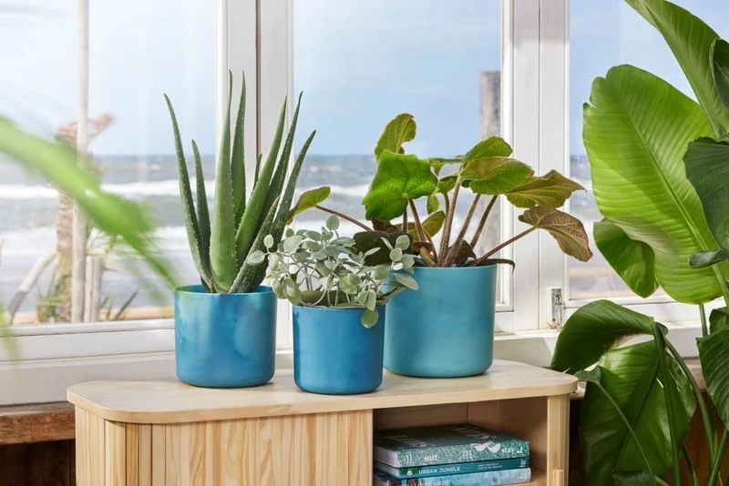 VASO THE OCEAN COLLECTION ROUND 18CM BLU ATLANTICO