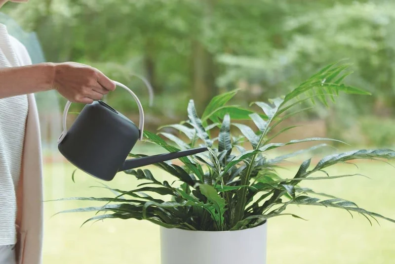 ANNAFFIATOIO B.FOR SOFT WATERING CAN 1,7LTR ANTHRACITE