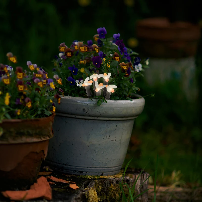 LUCI SEGNAPASSO SOLARI INSETTI/FIORI MODELLO A SCELTA 150CM