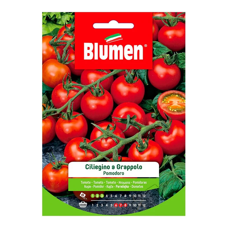 SEMI POMODORO CILIEGINO DI PACHINO A GRAPPOLO