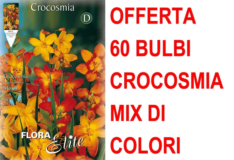 OFFERTA 60 BULBI CROCOSMIA CROCOSMIIFLORA MIX DI COLORI