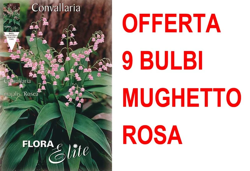 OFFERTA 9 BULBI MUGHETTO ROSA CONVALLARIA MAJALIS ROSEA