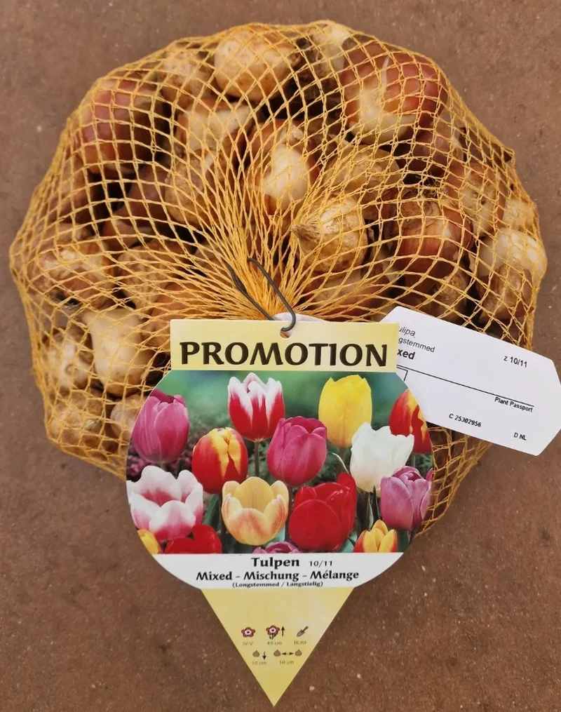 OFFERTA 150 BULBI TULIPANO MULTIFIORI MIX DI COLORI