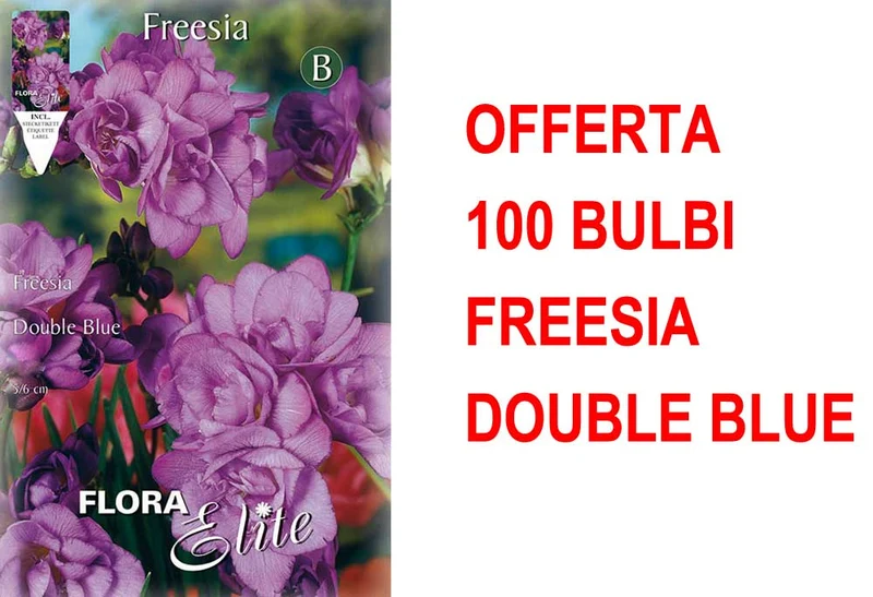 OFFERTA 100 BULBI FREESIA DOUBLE BLUE