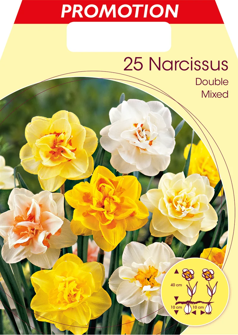 BULBI NARCISO DOUBLE MIX (CONFEZIONE DA 25 BULBI)