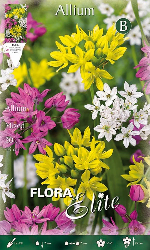 BULBI ALLIUM MIX (CONFEZIONE DA 30 BULBI)