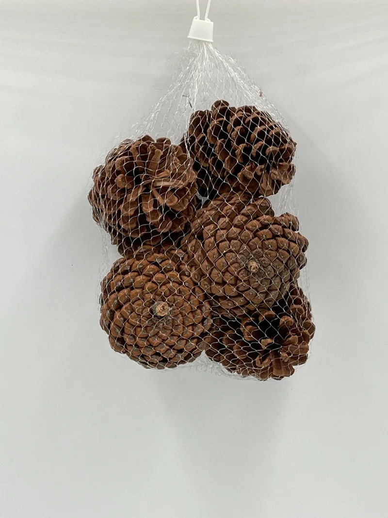 PIGNE ASSORTITE 200-250GR