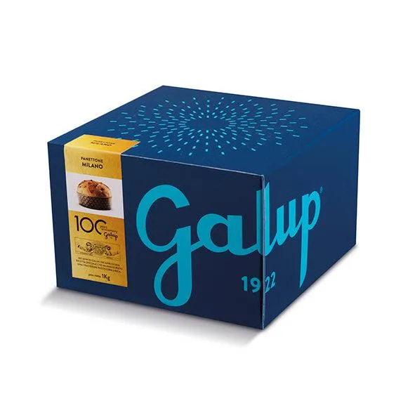 PANETTONE GALUP IL MILANO 750GR