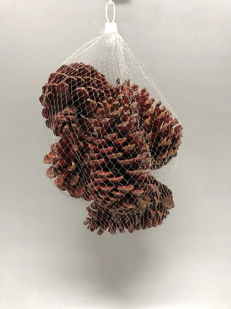 PIGNE ROSSE NATALIZIE ASSORTITE